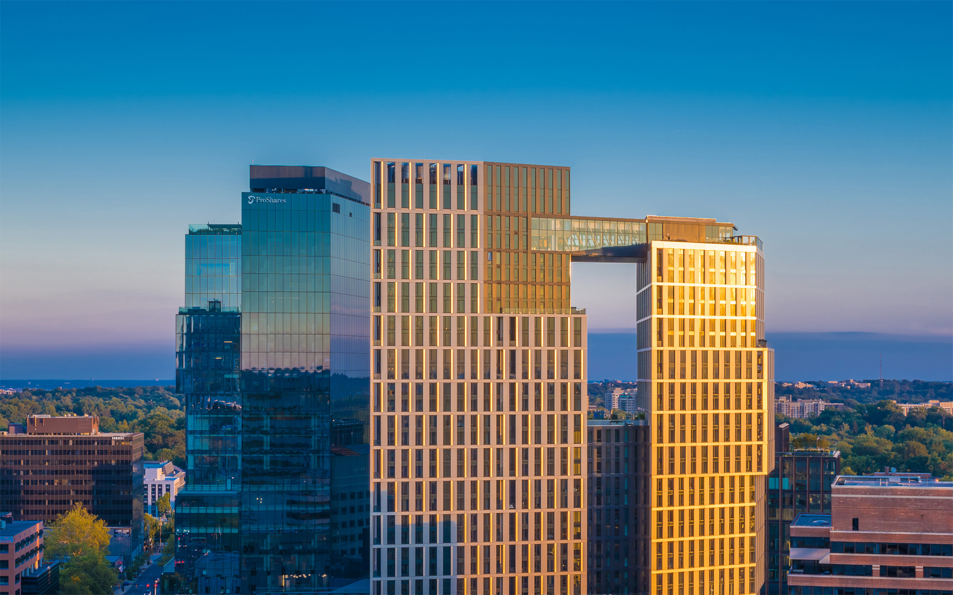 The Wilson and The Elm